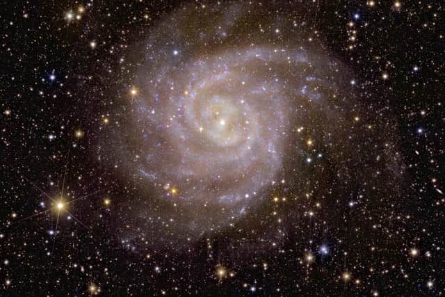 The Hidden Galaxy - also known as IC 342 (Image: ESA)