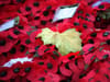 When to wear a poppy 2023: when to start wearing a poppy in the UK, dates, rules - and where to buy a poppy