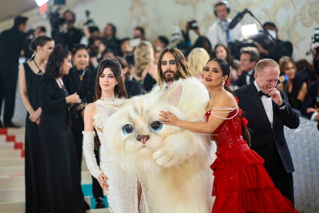 Met Gala 2024: Everything you need to know (Getty) 
