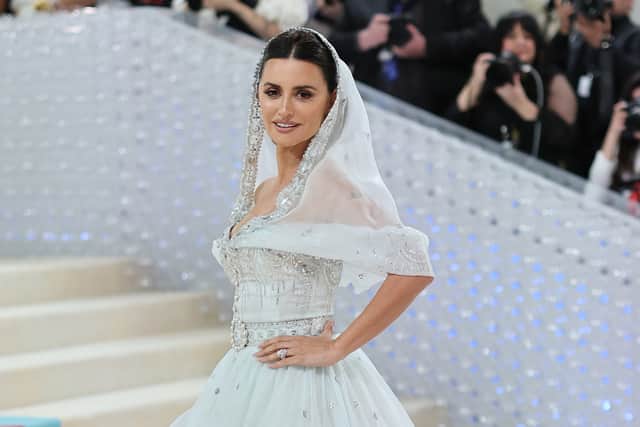 Met Gala 2024: Everything you need to know (Getty) 
