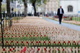 Armistice Day takes place on November 11 (Photo: Tolga Akmen / AFP via Getty Images)