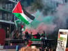 Armistice Day pro-Palestine march: mounting calls to 'sack Suella' as hundreds of thousands march in London