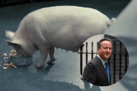 After allegations emerged of Lord Cameron and his alleged act upon a pigs head, comparisons were made between that scandal and the plot of Black Mirror's first episode, 'The National Anthem' (Credit: Netflix/Gettys/Channel 4)