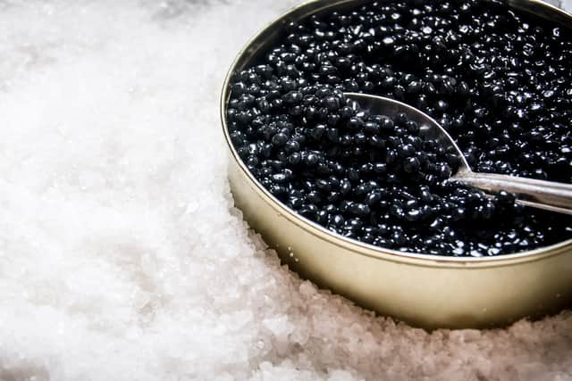 All caviar in Europe is supposed to come from farmed sturgeon, but a new study found one in five samples were from wild fish (Photo: Adobe Stock)