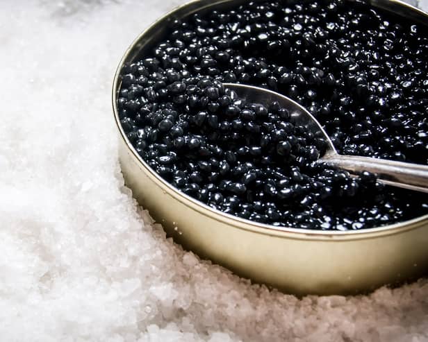 All caviar in Europe is supposed to come from farmed sturgeon, but a new study found one in five samples were from wild fish (Photo: Adobe Stock)