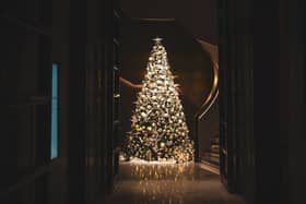 When do you put up your Christmas tree? (Bao Menglong on Unsplash)
