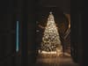 Christmas Tree: when is the right time to pull out festive decorations - according to NationalWorld readers