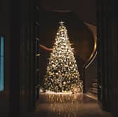 When do you put up your Christmas tree? (Bao Menglong on Unsplash)