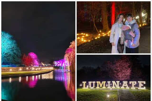 My family and I went along to our first ever Christmas light trail at Luminate Coombe Abbey in Coventry. (credit: Isabella Boneham/Natinoal World)