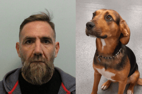 Jorge Pablo Samano Galas adopted Camila in Mexico, before using her travel crate to try and ship huge amounts of cocaine into the UK (NationalWorld/NCA)
