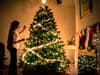 Cheapest Christmas trees 2023: Bargain trees on sale in UK supermarkets - Aldi, Lidl, Tesco