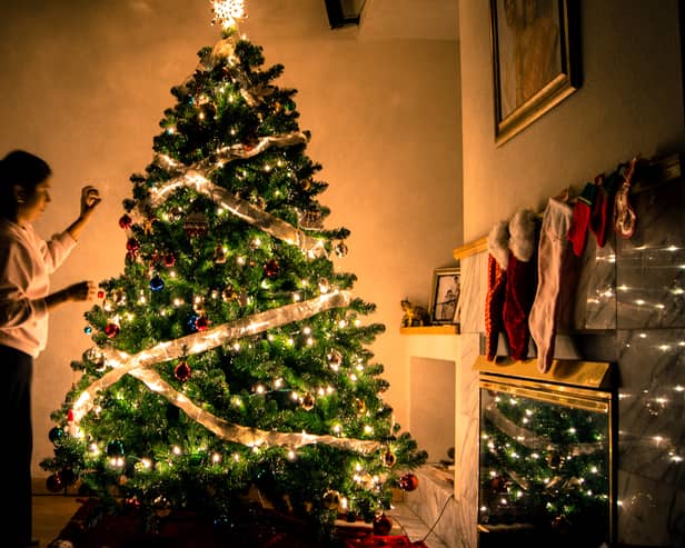 Cheapest Christmas trees on sale in UK supermarkets including Aldi and Lidl 