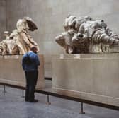 Sculptures which form part of the "Elgin Marbles", taken from the Parthenon in Athens, Greece almost two hundred years ago (Credit: Graham Barclay, BWP Media/Getty Images)