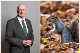 DUP's Jim Shannon has been slammed as a "muppet" and "embarrassing" after he labelled grey squirrels as the "Hamas of the squirrel world". (Credit: PA/Richard Townshend/UK Parliament/Getty Images)