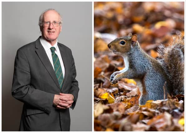 DUP's Jim Shannon has been slammed as a "muppet" and "embarrassing" after he labelled grey squirrels as the "Hamas of the squirrel world". (Credit: PA/Richard Townshend/UK Parliament/Getty Images)