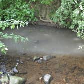Yorkshire Water has paid £1 million to environmental and wildlife charities after illegally discharging sewage into a stream in Harrogate. (Photo: Environment Agency/PA Wire)