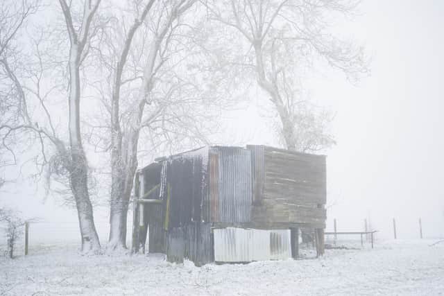  A derelict barn sits in the fog and snow at Mill Farm on December 02, 2023 in Bodsham, United Kingdom. The UK Met Office have warned of snow, ice and freezing fog across the UK as temperatures plummet to -10c in some isolated places. (Photo by Dan Kitwood/Getty Images)