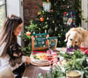 Dog Safe Christmas Dinner: What festive food is toxic for your pet? - healthy alternatives 