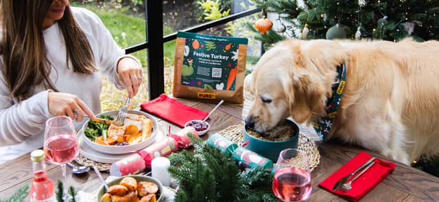 Pure Pet food has launched its Christmas Dinner for dogs at £2 per portion