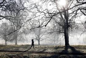 A jogger runs to exercise in a frost-covered Hyde Park in London on January 18, 2022 (Image: TOLGA AKMEN/AFP via Getty Images)
