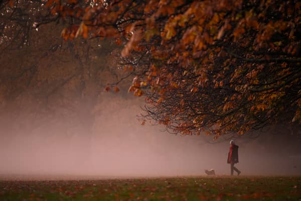 A person walks their dog in the morning mist at sunrise in Greenwich Park (Photo: DANIEL LEAL/AFP via Getty Images)