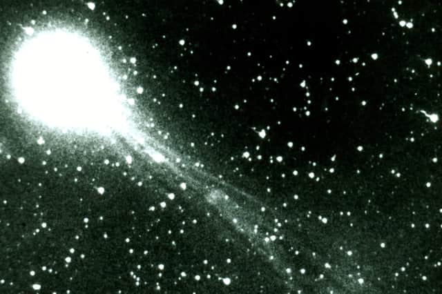 Halley's Comet in 1986 (Image: Liaison)