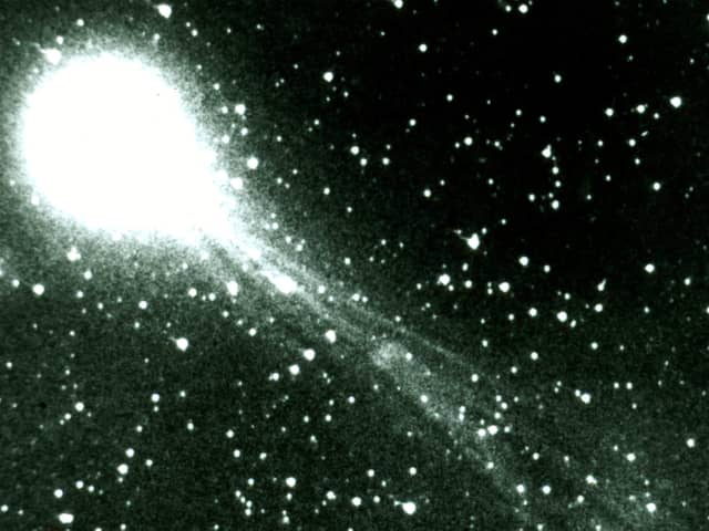 Halley's Comet in 1986 (Image: Liaison)
