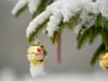 Christmas forecast: what are the chances of a white Christmas and will it snow on Christmas day?
