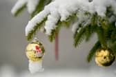 A bauble hangs from a snow covered Christmas tree in in Shibden Hall Park on December 29, 2017 in Halifax, England. (Image: Christopher Furlong/Getty Images)