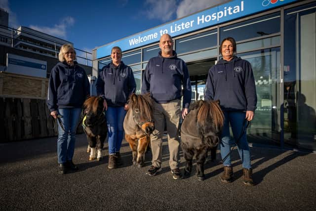 The company now has a string of seven ponies that take part in hospital visits (Photo: James Linsell-Clark / SWNS)