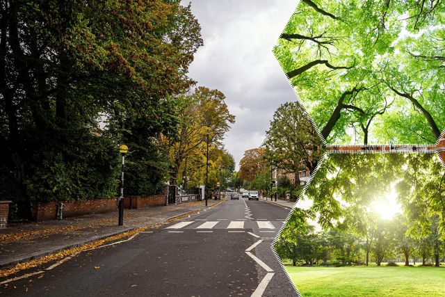 Less affluent parts of the UK have less trees, a new online tool has revealed, and residents are missing out on the essential benefits they bring (NationalWorld/Getty/Adobe Stock)
