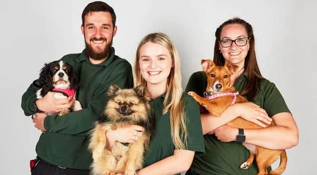 The Dog House is returning to Channel 4 for a 2023 festive edition called 'The Dog House at Christmas'. Photo by Channel 4.