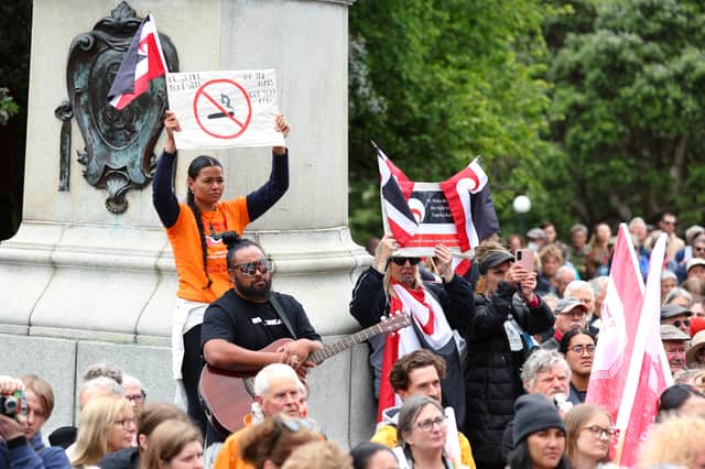 Protestors look on during an anti-tobacco protest at Parliament on December 13, 2023 in Wellington, New Zealand. The incoming National Party-led government led by Christopher Luxon has committed to axing a world-first tobacco law that would gradually ban sales to all of its citizens (Hagen Hopkins/Getty Images)