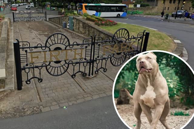 A 12-year-old boy was reportedly left with the bones in his arm visible following an attack in the home in the Firth Park area, Sheffield. Picture: Google Maps, Adobe Stock