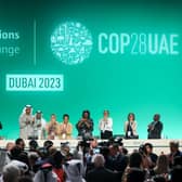 Delegates applaud after a speech by Sultan Ahmed Al Jaber (centre), President of the COP28 Climate Conference (Photo by Fadel Dawod/Getty Images)