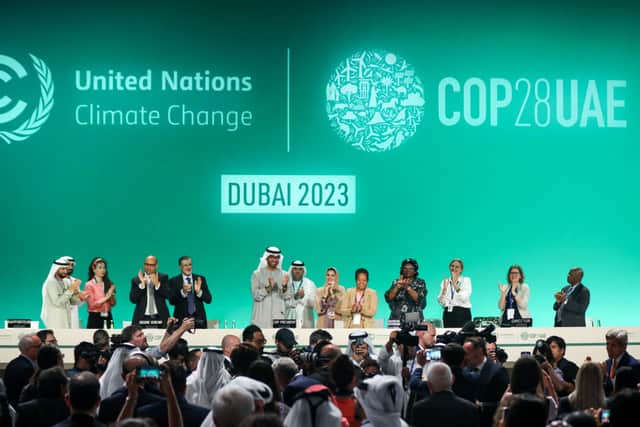 Delegates applaud after a speech by Sultan Ahmed Al Jaber (centre), President of the COP28 Climate Conference (Photo by Fadel Dawod/Getty Images)