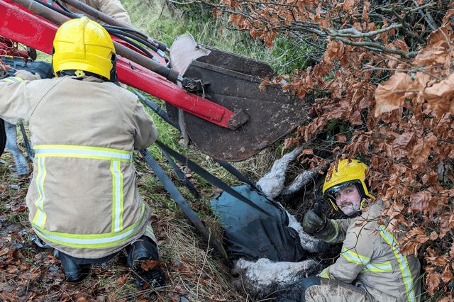 The muddy donkey was lifted out of the ditch by a digger (Photo: NIFRS/Facebook)