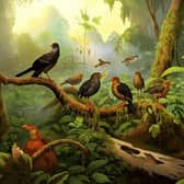 An AI-generated image of what some of the unknown extinct birds might have looked like, as researchers believe 1,430 bird species have died out over modern human history (UKCEH/PA Wire)