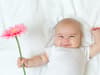 Baby names 2024: Names inspired by flowers and plants to be most popular - top 10 for boys and girls