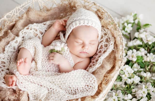 The most popular floral inspired baby name for a girl in 2024 is predicted to be Juniper. Stock image by Adobe Photos.