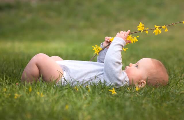 The most popular floral inspired baby name for a boy in 2024 is predicted to be Orion. Stock image by Adobe Photos.