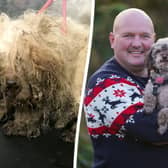 Darren Cox and his dog Bailey, of Nottingham, before and after (SWNS)
