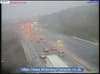 M1: Loose dog on motorway stops traffic in both directions at Meadowhall