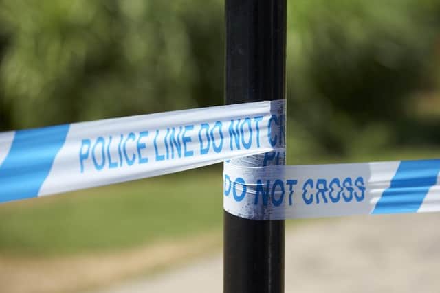 A teenager has been arrested after a woman was stabbed to death in south London on Christmas Eve