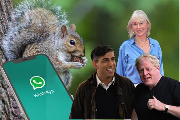 Some of the weirdest moments of the year: WhatsApps, grey squirrels, Rishi Sunak, Nadine Dorries and Boris Johnson (still). Credit: Getty/Adobe/Getty