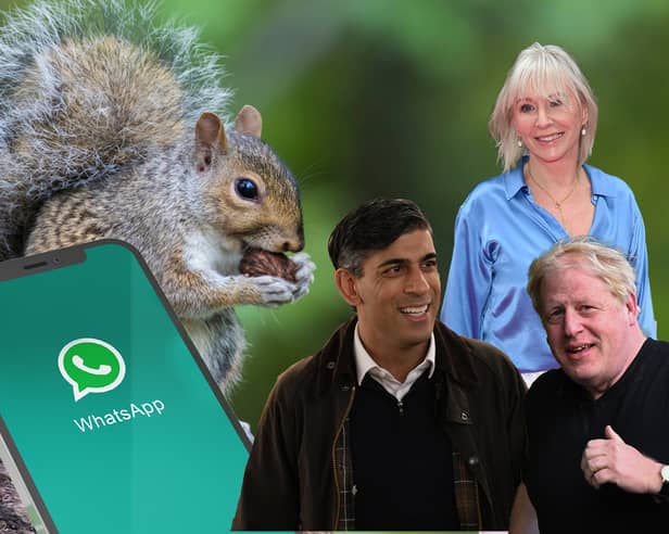 Some of the weirdest moments of the year: WhatsApps, grey squirrels, Rishi Sunak, Nadine Dorries and Boris Johnson (still). Credit: Getty/Adobe/Getty