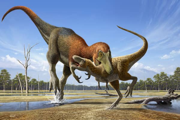 Artist impression of a Nanotyrannus attacking a baby T. rex. (Image: Raul Martin/PA Wire)