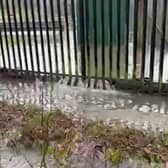 A teacher and river campaigner has posted a video showing raw sewage pouring into fields "used by children" near a housing estate in Surrey. Picture: Simon Collins / River Mole River Watch