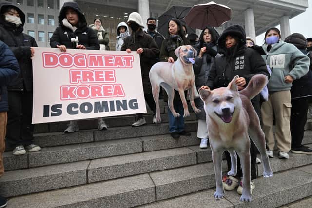 Animal rights activists hold placards during a rally welcoming a bill banning dog meat trade at the National Assembly in Seoul (Photo by JUNG YEON-JE/AFP via Getty Images))