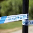 A person has been arrested after a child was found dead in west Wales on Wednesday morning (January 10)